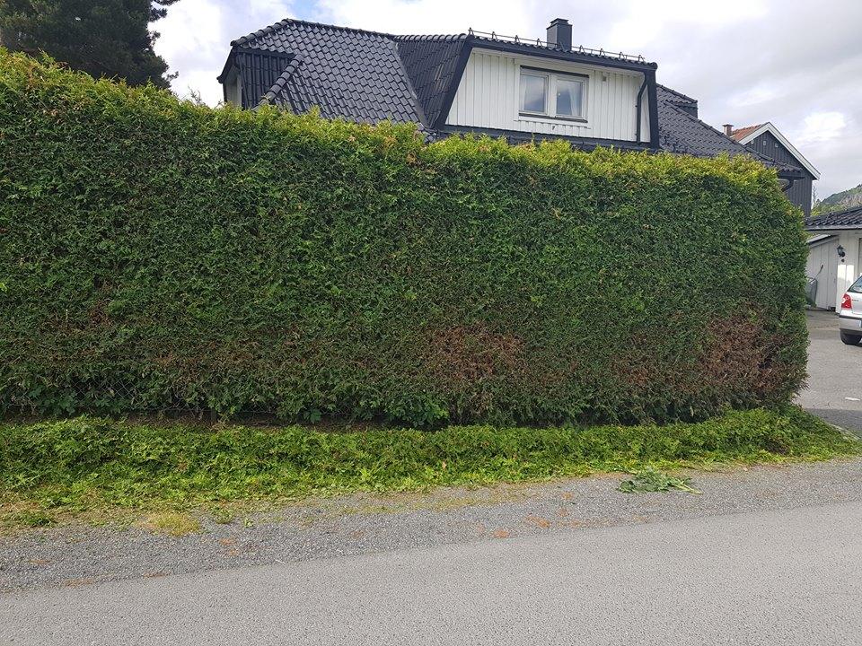 Hekksaks